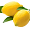 Zitruspflanzen