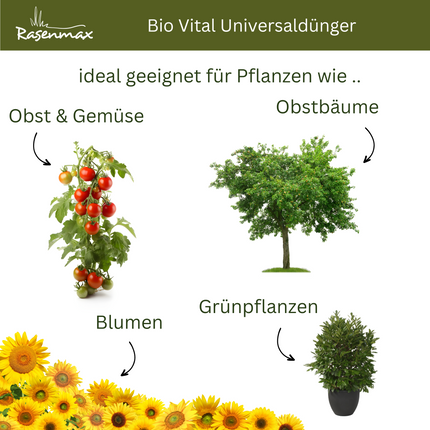 Rasenmax Bio Dünger Vital - Biologischer Universaldünger