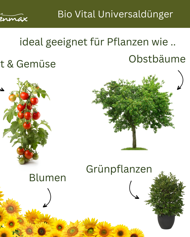 Rasenmax Bio Dünger Vital - Biologischer Universaldünger