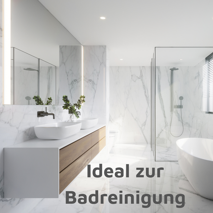 DayliWipe Reinigungstücher Hygiene - reißfeste Allzweck Feuchttücher in Box für glatte Oberflächen in Bad, Küche, WC