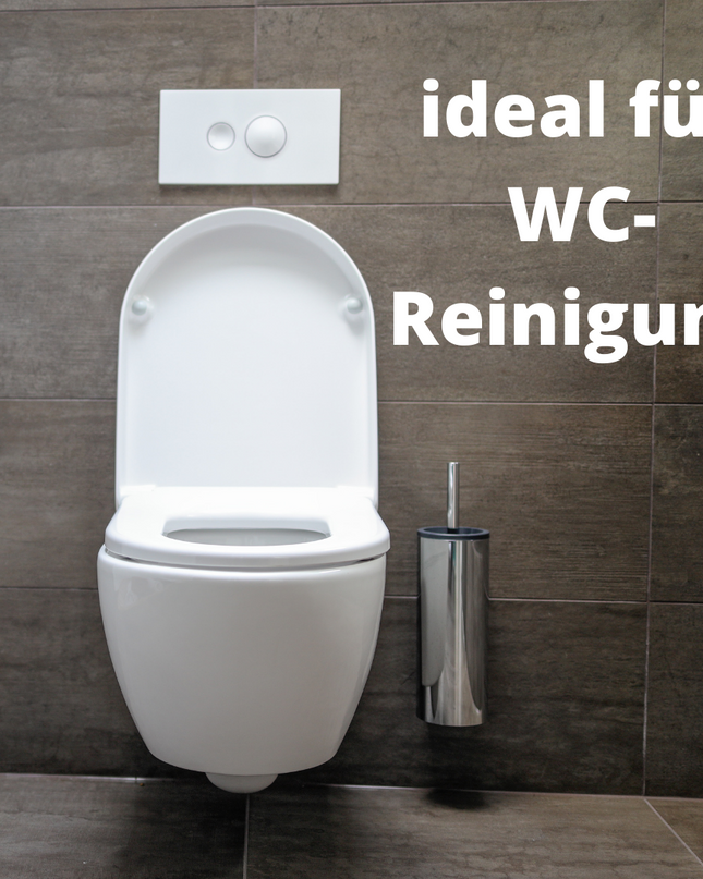 DayliWipe Reinigungstücher Hygiene - reißfeste Allzweck Feuchttücher in Box für glatte Oberflächen in Bad, Küche, WC