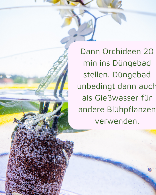 Rasenmax Orchideendünger Tabs - 20 Stück