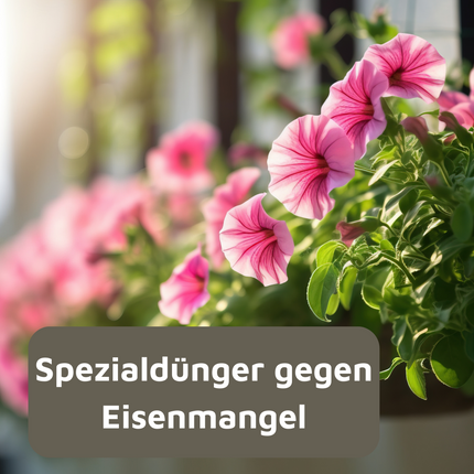 Rasenmax Eisendünger flüssig Ferrum