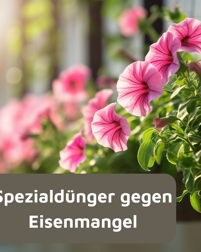 Rasenmax Eisendünger flüssig Ferrum