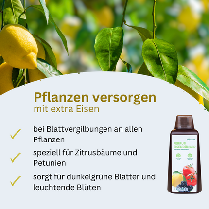 Rasenmax Eisendünger flüssig Ferrum