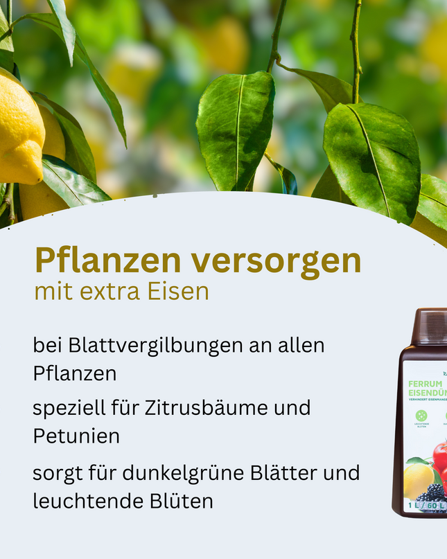 Rasenmax Eisendünger flüssig Ferrum
