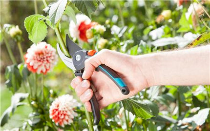 Gardena Gartenschere B/M