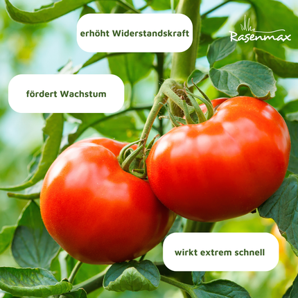 Rasenmax Bio Dünger Vital - Biologischer Universaldünger