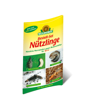 Nematoden von Neudorff gegen Dickmaulrüssler & Wiesenschnaken