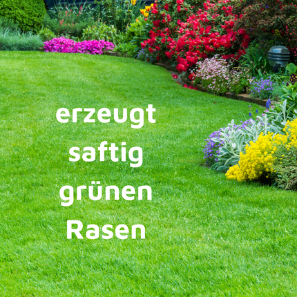 Rasenmax Rasendünger Rasen Booster 3 kg - für 120 m2 Rasenfläche