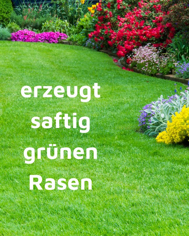 Rasenmax Rasendünger Rasen Booster 3 kg - für 120 m2 Rasenfläche
