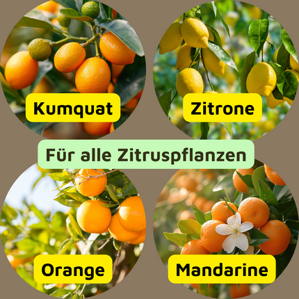 Rasenmax Zitrusdünger und Olivenbaumdünger 1 L
