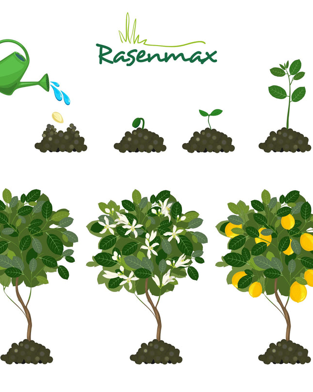 Rasenmax Zitrusdünger und Olivenbaumdünger 1 L