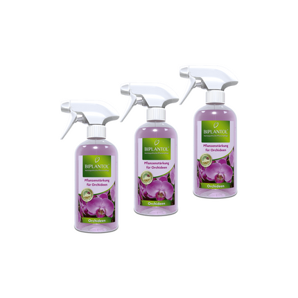Orchideen-Spray Set - 3 Stück
