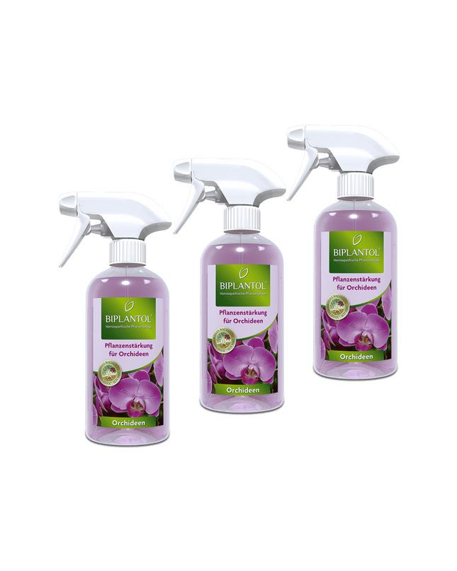 Orchideen-Spray Set - 3 Stück