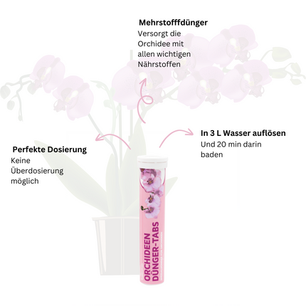 Rasenmax Orchideendünger Tabs - 20 Stück