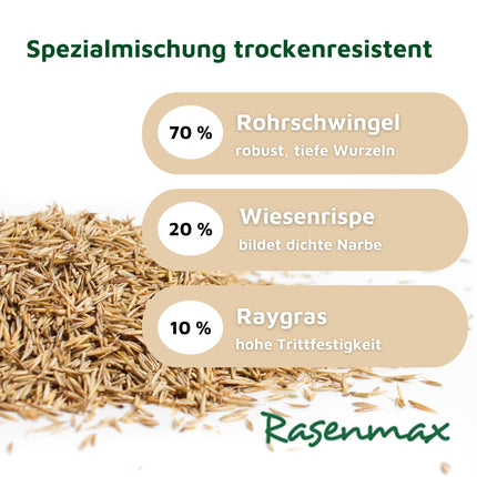 Rasenmax Rasensamen trockenresistent - Grassamen für trockene Standorte, 2,5 kg, 100 m2