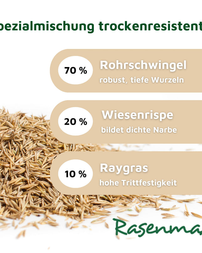 Rasenmax Rasensamen trockenresistent - Grassamen für trockene Standorte, 2,5 kg, 100 m2