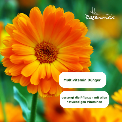Rasenmax Bio Dünger Vital - Biologischer Universaldünger