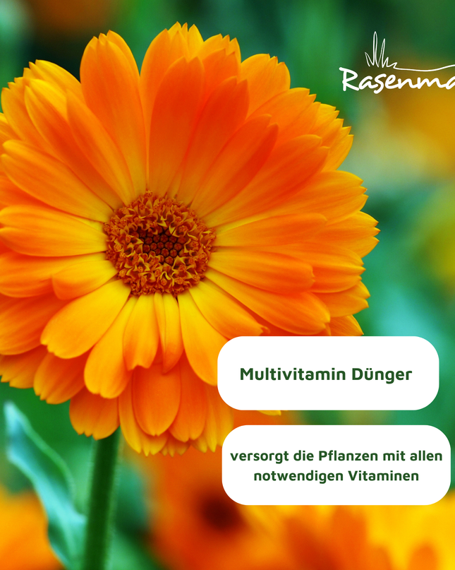 Rasenmax Bio Dünger Vital - Biologischer Universaldünger