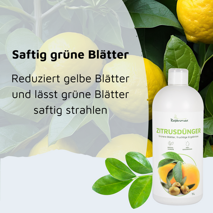 Rasenmax Zitrusdünger und Olivenbaumdünger 1 L