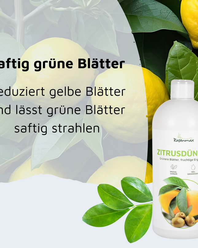 Rasenmax Zitrusdünger und Olivenbaumdünger 1 L