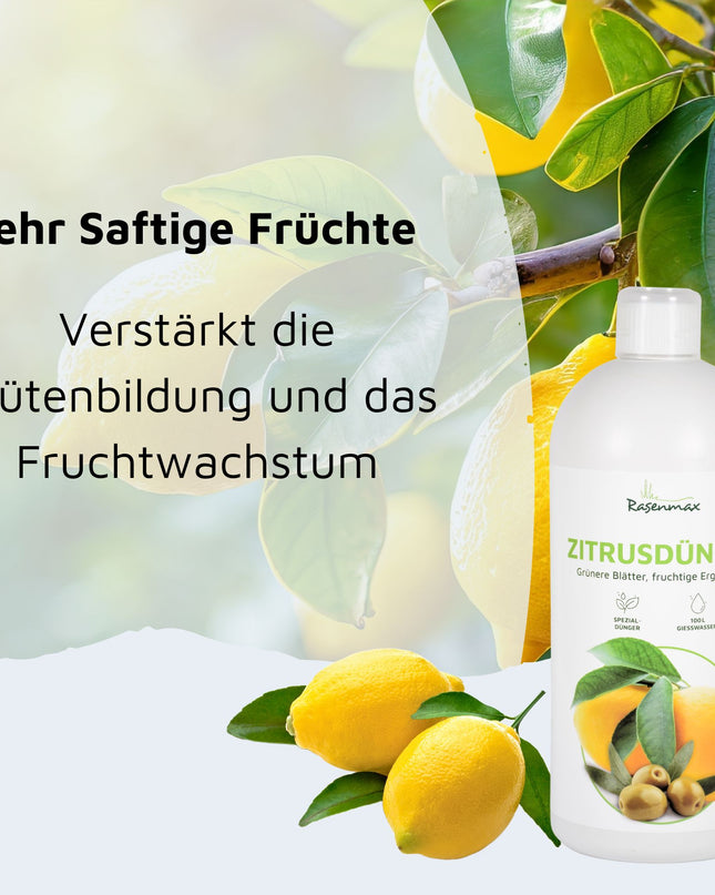 Rasenmax Zitrusdünger und Olivenbaumdünger 1 L