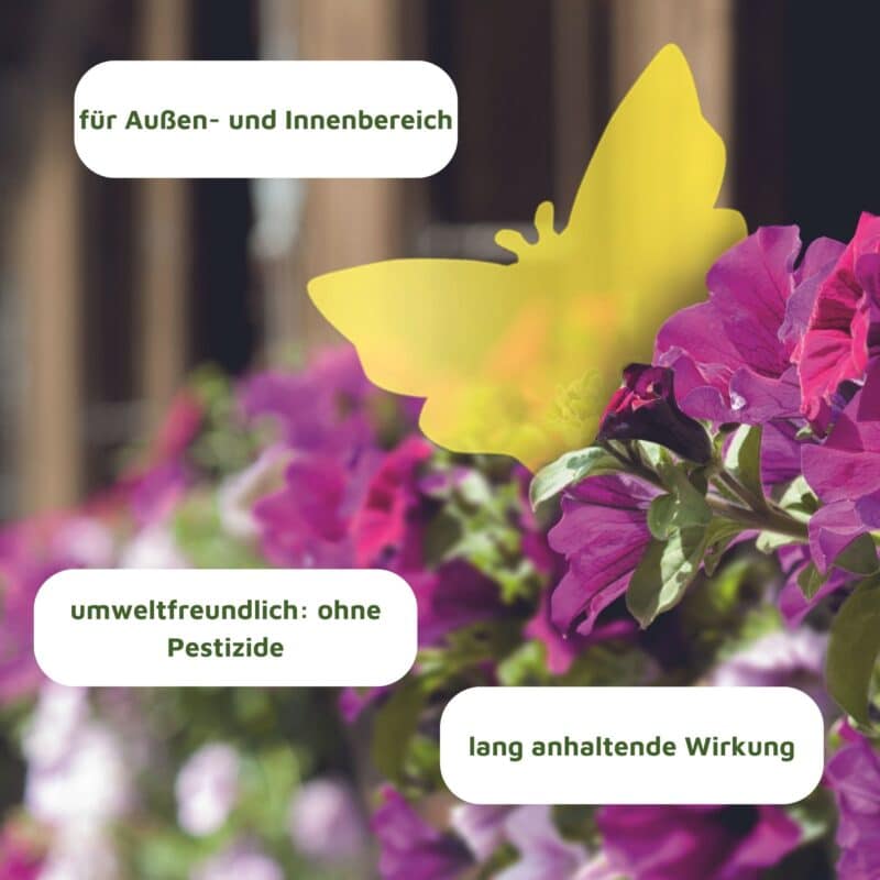 Gelbsticker Blumen